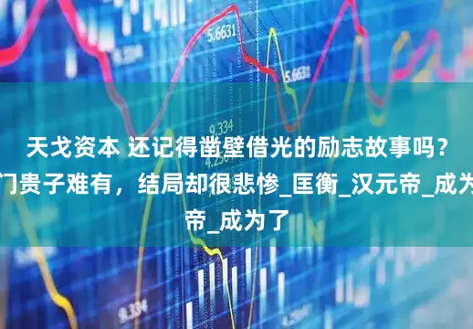 天戈资本 还记得凿壁借光的励志故事吗？寒门贵子难有，结局却很悲惨_匡衡_汉元帝_成为了