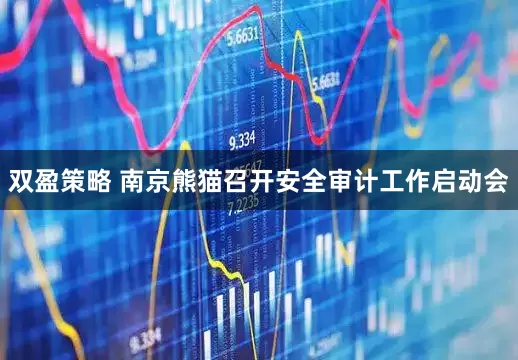 双盈策略 南京熊猫召开安全审计工作启动会