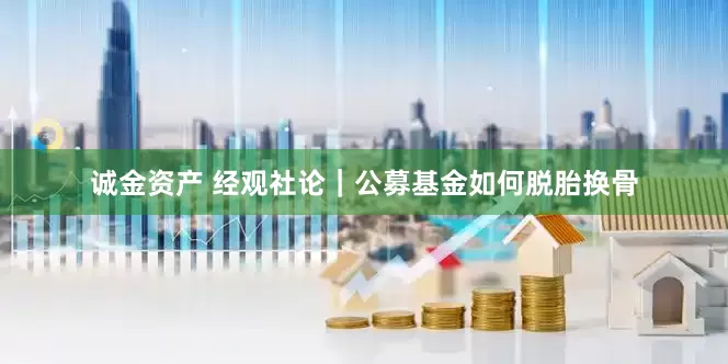 诚金资产 经观社论｜公募基金如何脱胎换骨