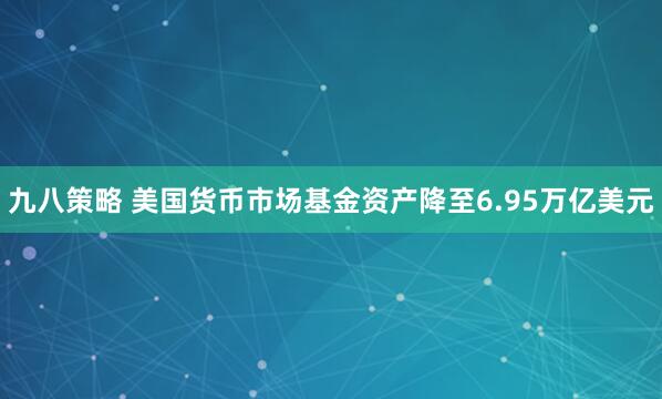 九八策略 美国货币市场基金资产降至6.95万亿美元
