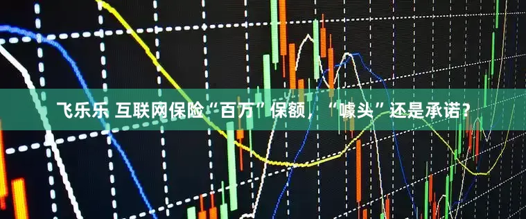 飞乐乐 互联网保险“百万”保额，“噱头”还是承诺？