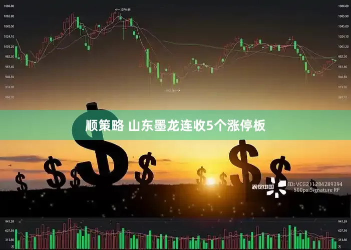 顺策略 山东墨龙连收5个涨停板