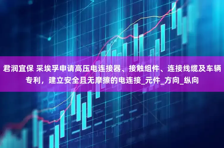 君润宜保 采埃孚申请高压电连接器、接触组件、连接线缆及车辆专利，建立安全且无摩擦的电连接_元件_方向_纵向